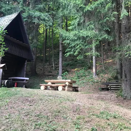 Dotik Gozda