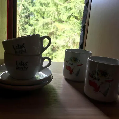 Dotik Gozda *